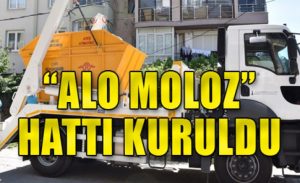 Zile Alo Moloz